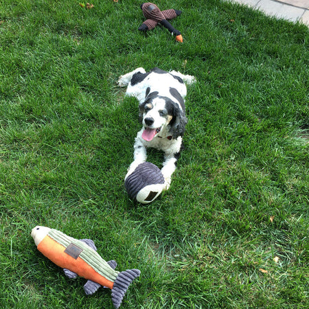 Pamper Your Pawsome Pal: Unleashing the Best Pet Gifts from Style Up Your Pet!