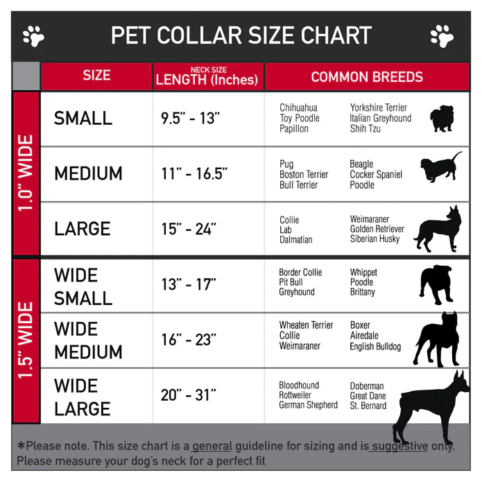 Justice League Dog Lead, White