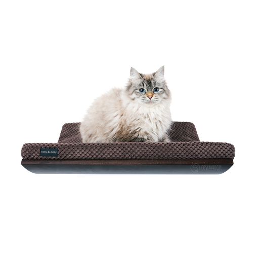 Chill Shelf, Wenge