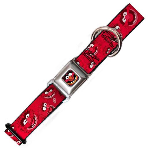 "Animal" Dog Collar