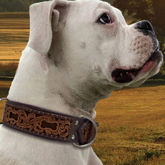 San Antonio Leather Collar