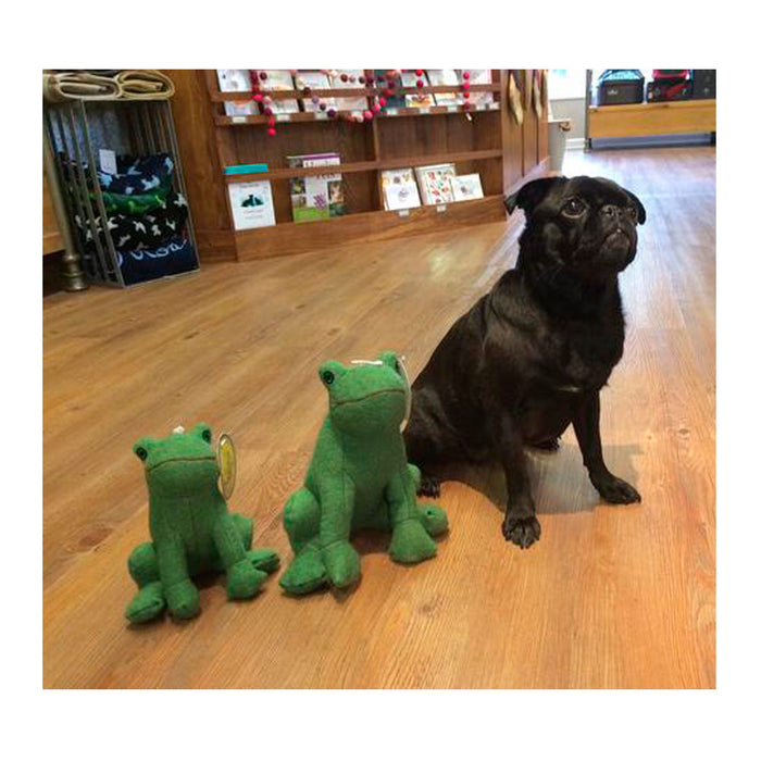 Frog Woolie Toy (with Squeaker)