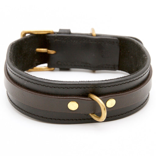 Black Dog collar with Brown Contrast Strap