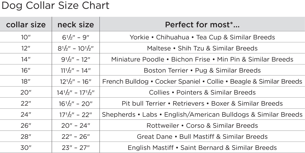 San Antonio Leather Collar