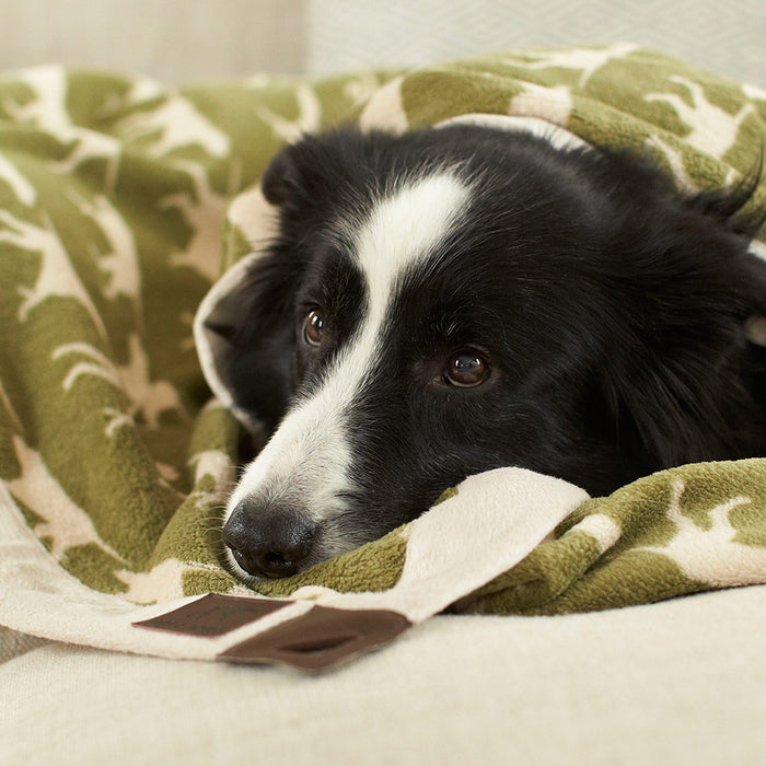 Fleece Throw, Sage Icon Print