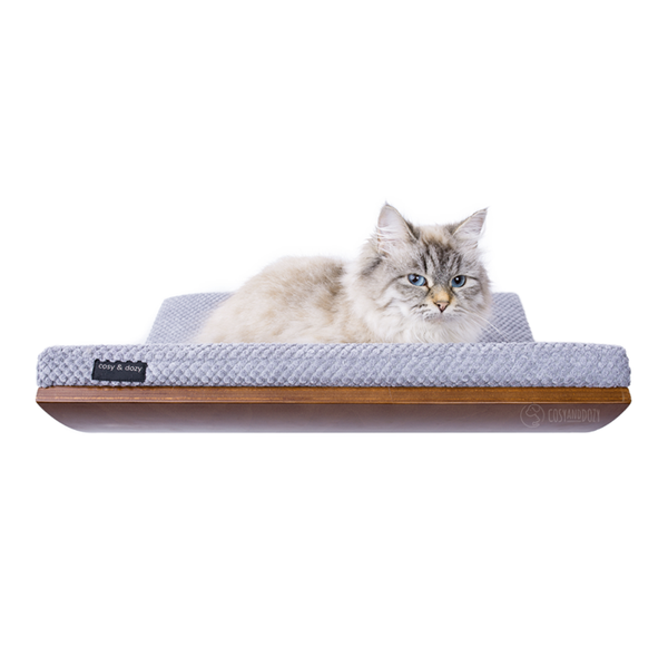 Cat Shelf Beds