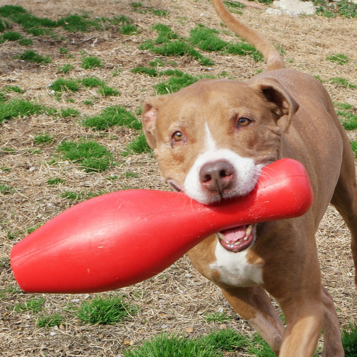 Tuggo Shake-N-Fetch Bowling Pin