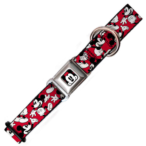 Mickey Mouse Dog Collar, Scattered