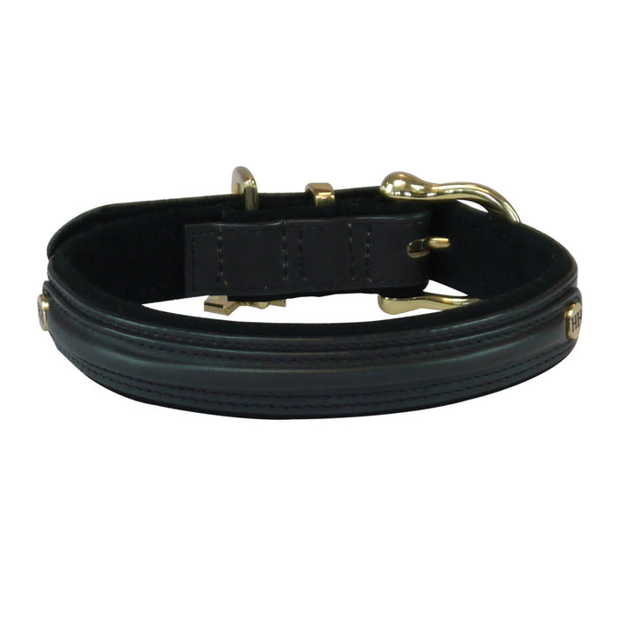 Basic Plus collar Black