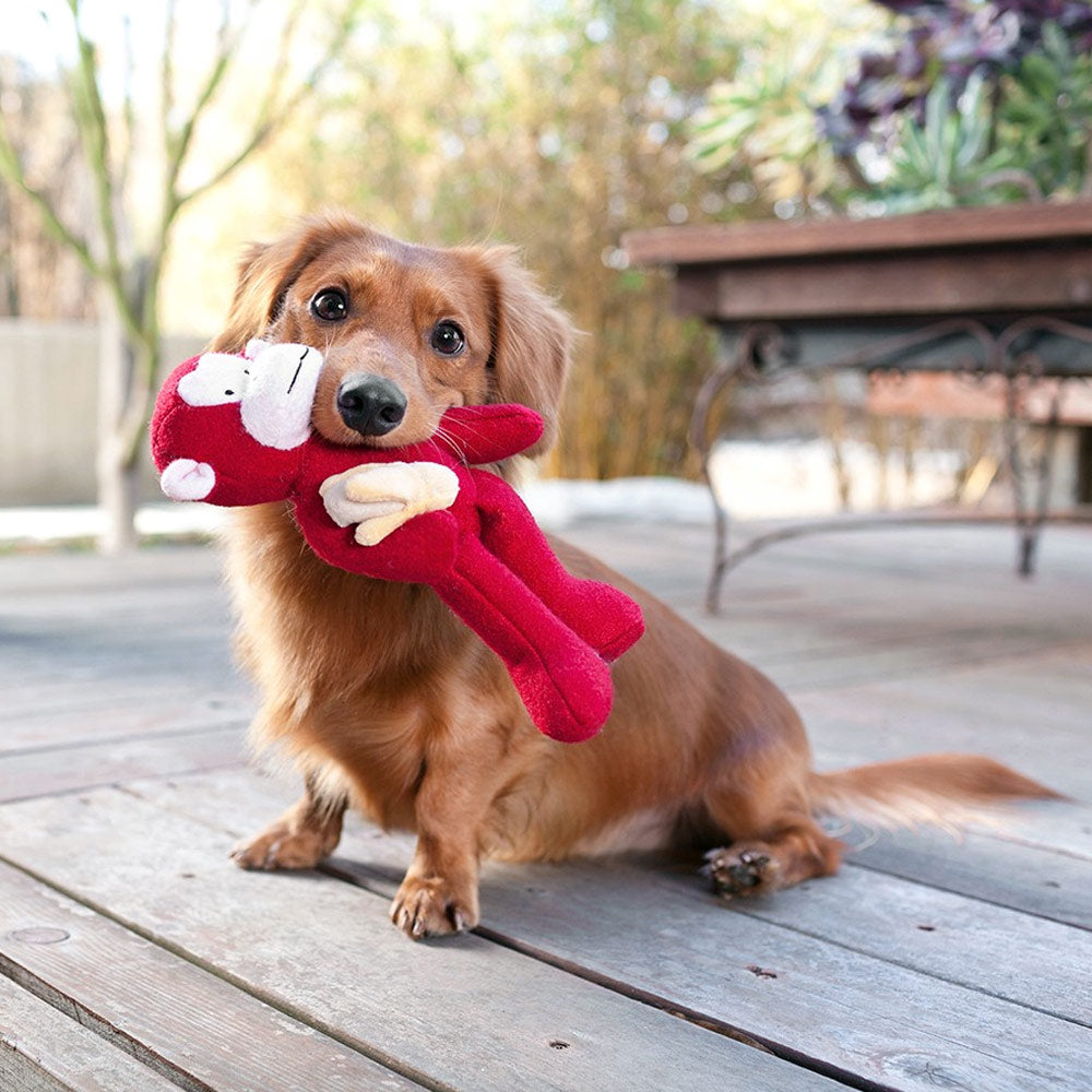 Woolie Monkey Toy with Squeaker — Style Up Your Pet